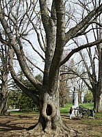 2008 GettysburgCamping-035.JPG